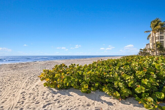 Photo - 4021 Gulf Shore Blvd N Unit Seasonal