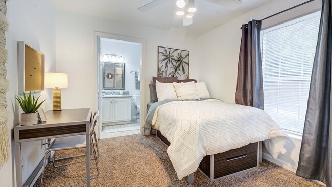 The Venetian Student Living