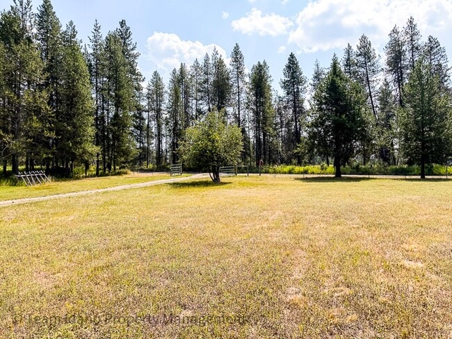Photo - 317 E Elkhorn Meadows Rd