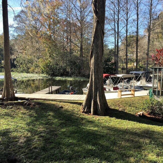 Photo - Fully Furnished, Turnkey 1BR/1BA Riverfron...