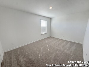 Photo - 3004 Trumpet Vine