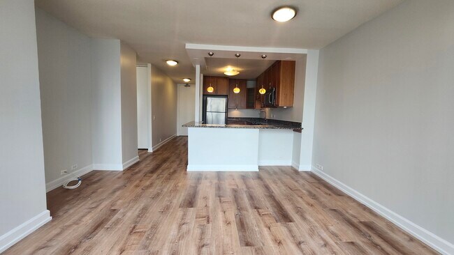 405 N WABASH Unit 1401