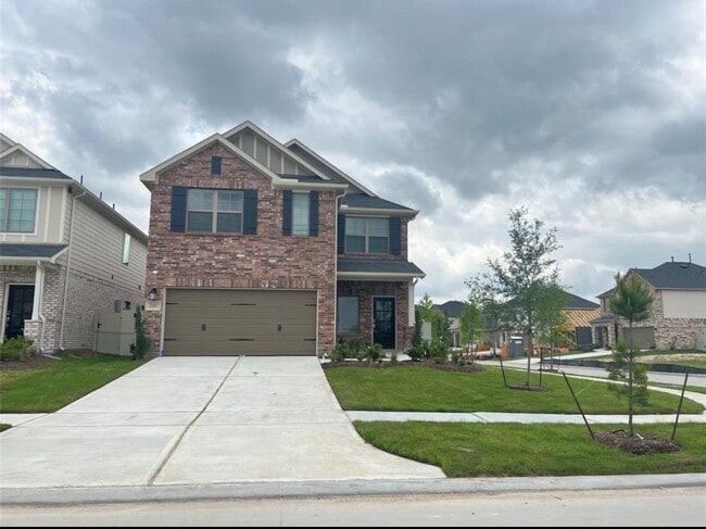 Photo - 17697 Tree of Heaven