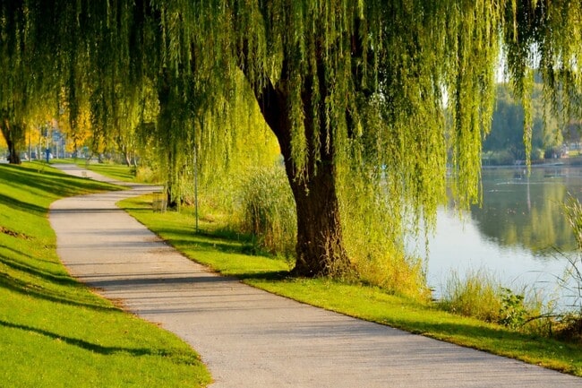 Photo - 2025 E Greenwich Ave