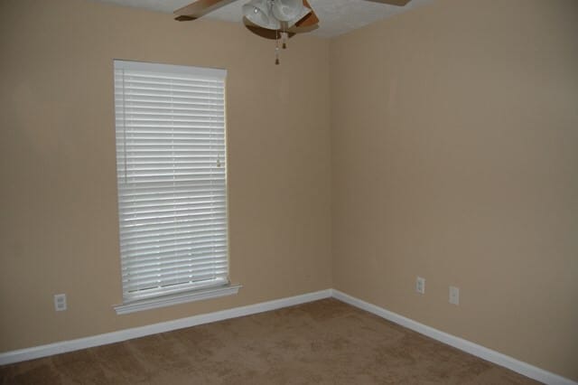 Photo - 219 Fox Haven Dr