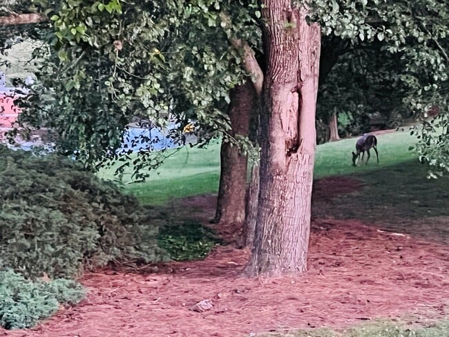 Photo - 574 Manning Rd SW