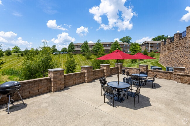 Lower Patio