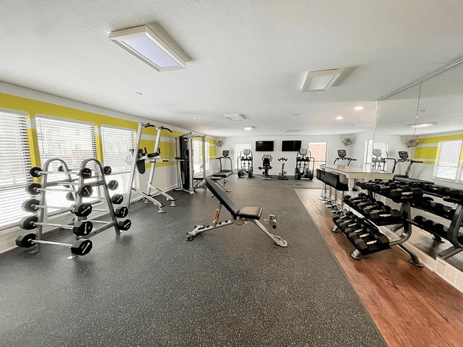 Disfruta de un excelente entrenamiento en nuestro gimnasio.