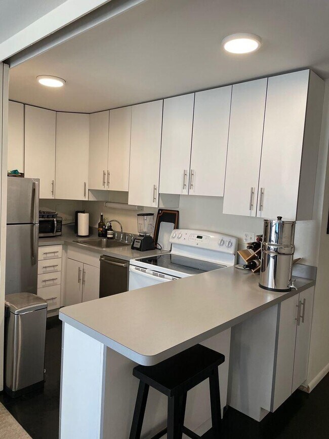 Photo - 0 bedroom in Chicago IL 60614 Unit 1017