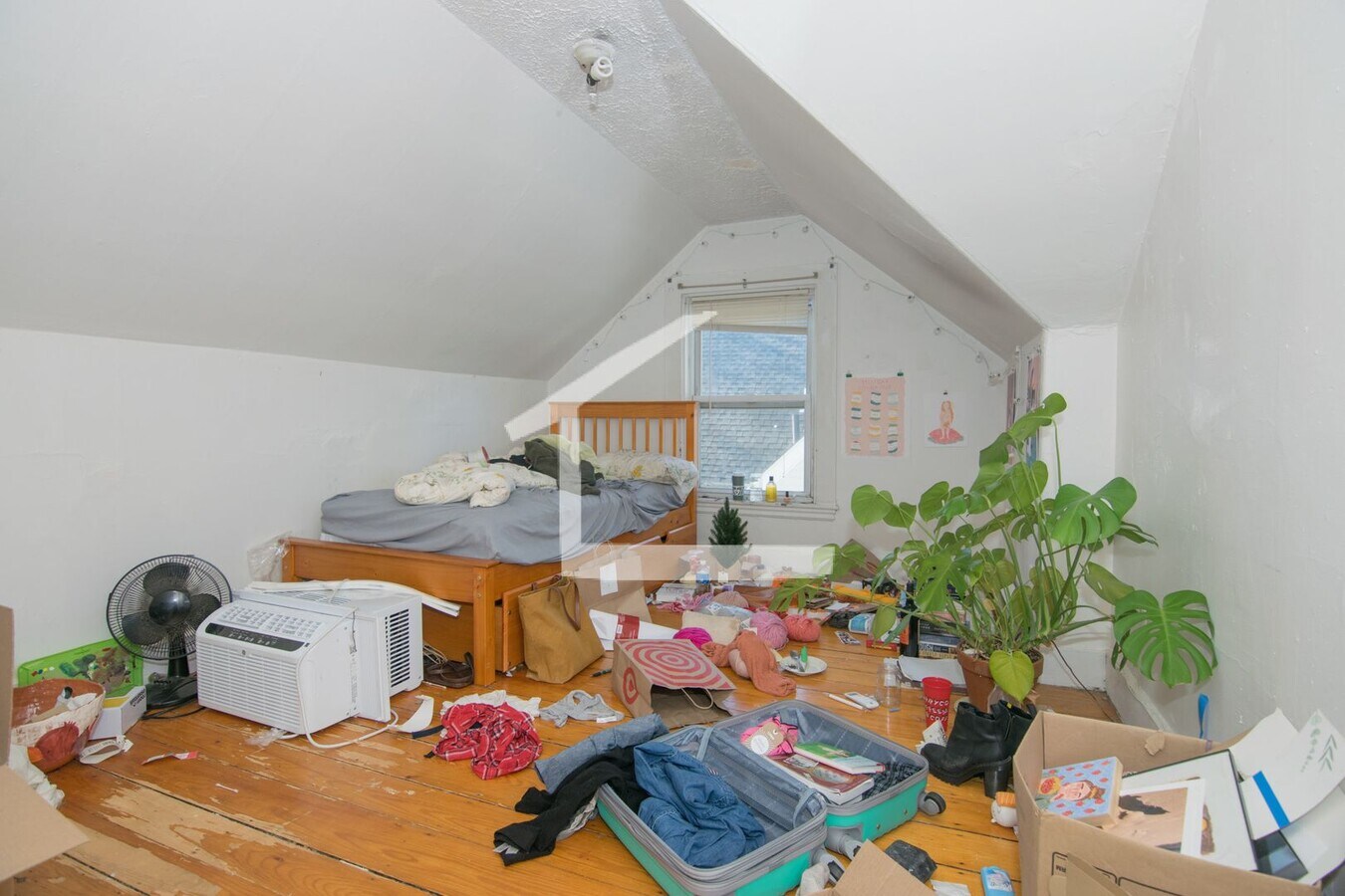 Photo - Large 3 bed unit near the Green Line and BU with parking