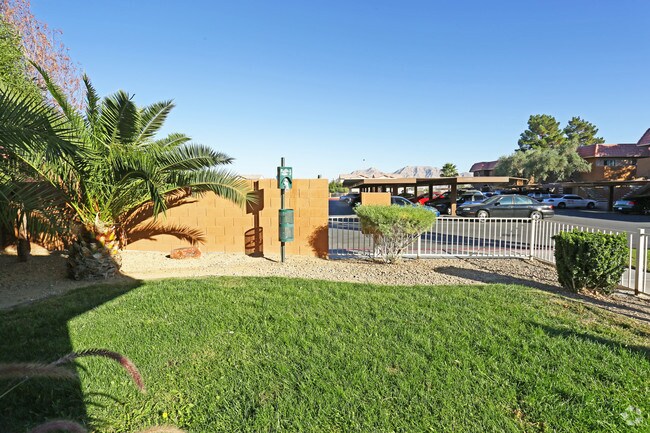 Pet Area