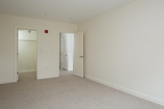 Photo - Warner Woods