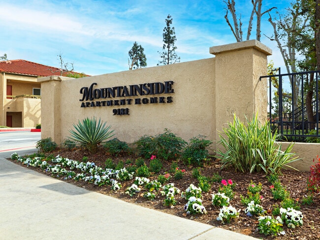 Mountainside