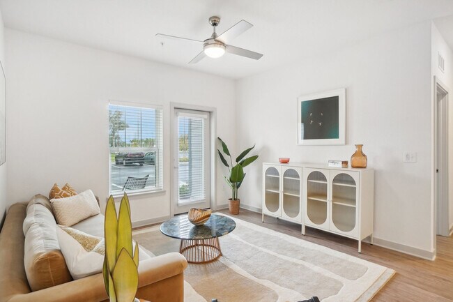 Photo - Avocet at Melbourne