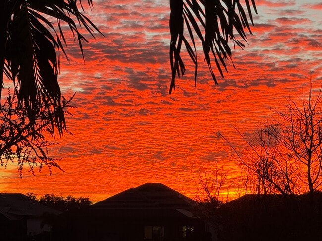 Photo - 14032 Hawks Eye Ct