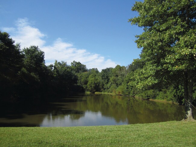 Pond