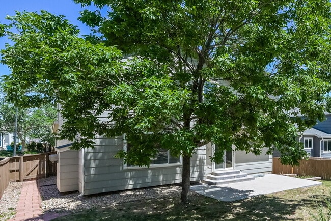 Photo - 10319 Woodrose Ln