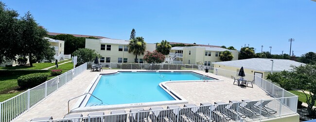 Pool - Marina Vista Apartments