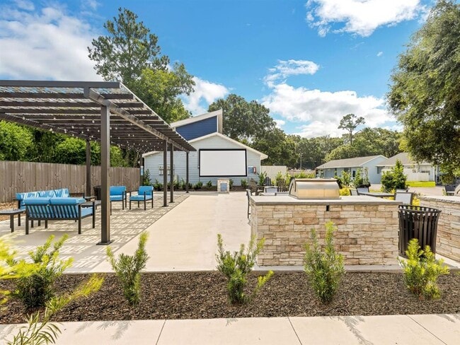 Photo - The Papillon