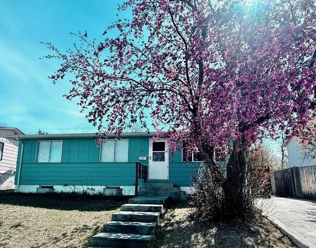 Building Photo - 3 Bedroom with Storage