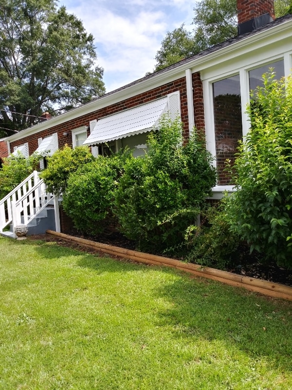 Photo - 19 Dargan St