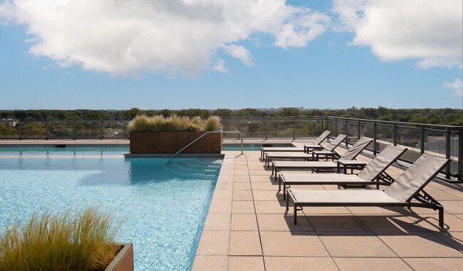 Enjoy your rooftop and lounge poolside