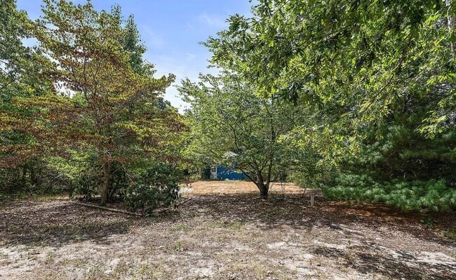 Backyard - 107 Bayberry Ave