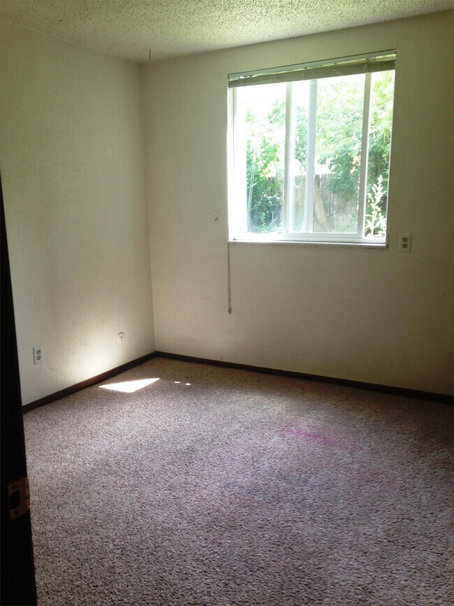 Photo - 454 Arapahoe Ave