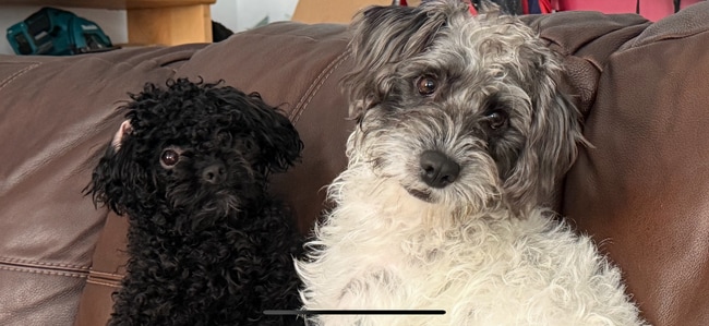 Building Photo - 814 Beechwood Ave