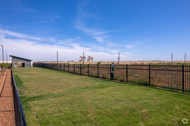 Dog Park