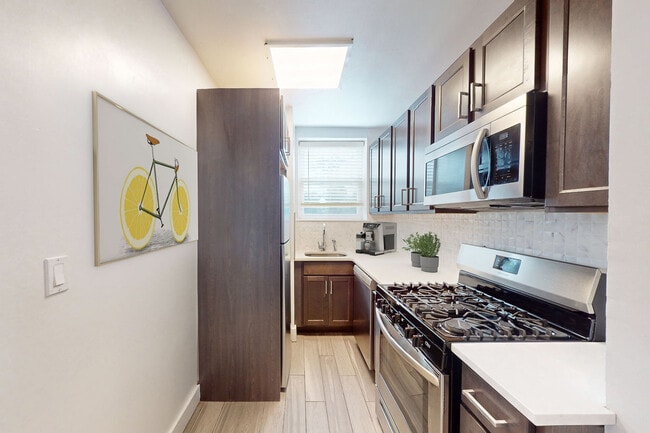 Photo - Turtle Village