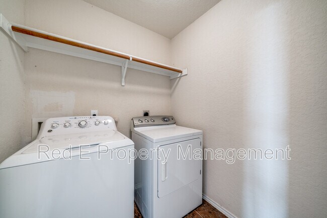 Photo - 3125 Muntjac