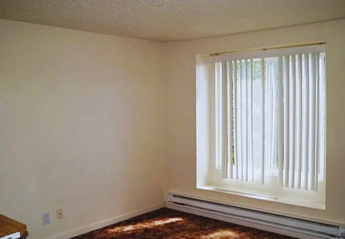 Cute 2 Bedroom Apartment with patio! - Cute 2 Bedroom Apartment with patio!