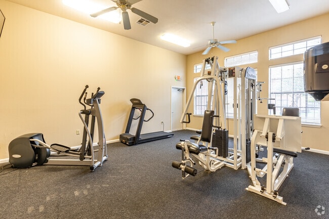 Gimnasio