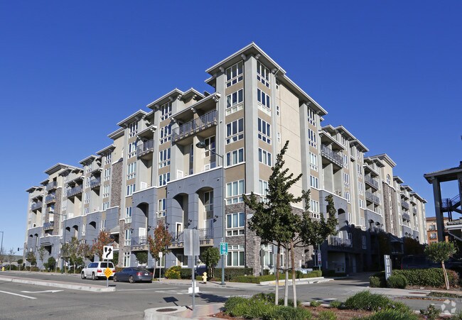 Elan At Dublin Station Apartments For Rent In Dublin Ca Forrent Com