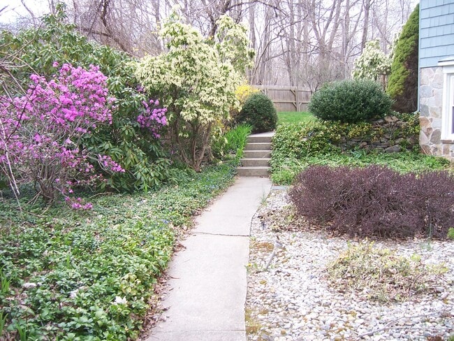 Photo - 1074 Storrs Rd