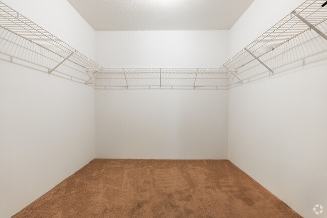 2BR, 1BA - 950SF - Primary Bedroom Closet