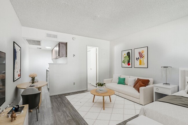 Photo - Aster on University