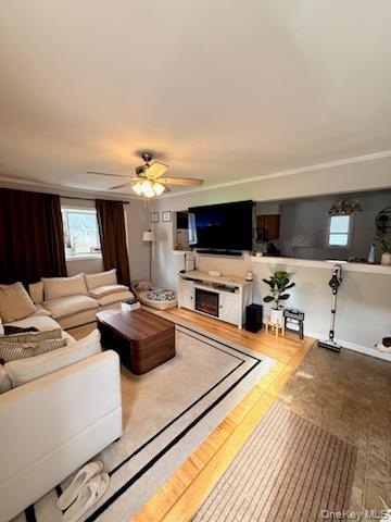 Photo - 43 Titmus Dr