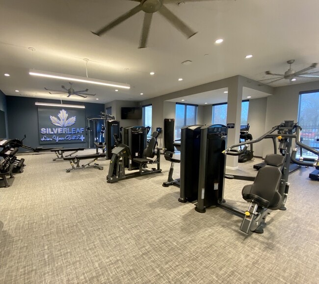 The Silverleaf Apartments