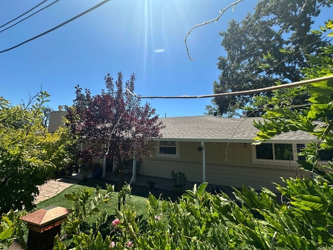 Building Photo - Gorgeous 4 Bed 2.5 Bath, single family hom... Rental