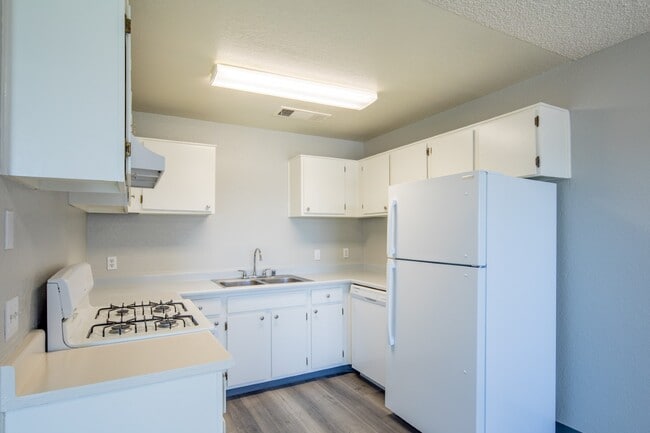 Oasis Apartments