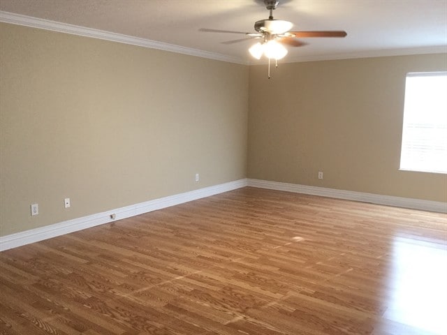 Photo - 7801 Beechtree Ln