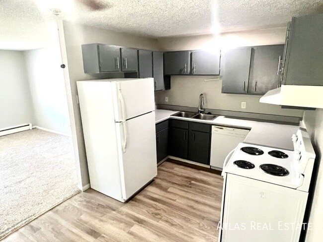 Building Photo - 405 St Vrain Pl Unit 302 Rental