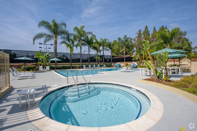 Swimming Pool - Citrus Place