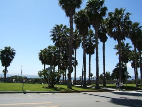 2307 Ocean Ave