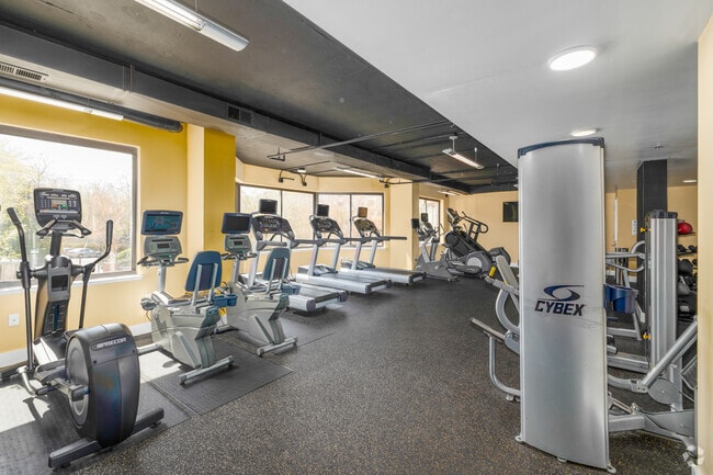 Gimnasio