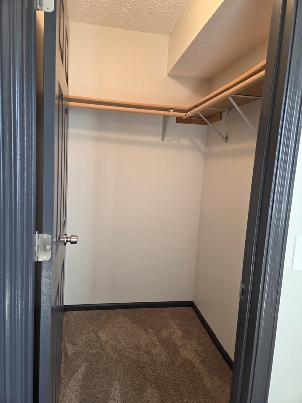 Photo - 5726 Egret Ave