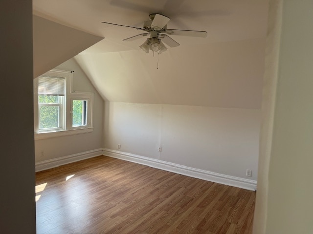 Photo - 433 Herschel St Unit Floor 3