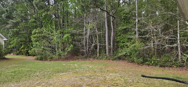 Photo - 260 Whitchurch St